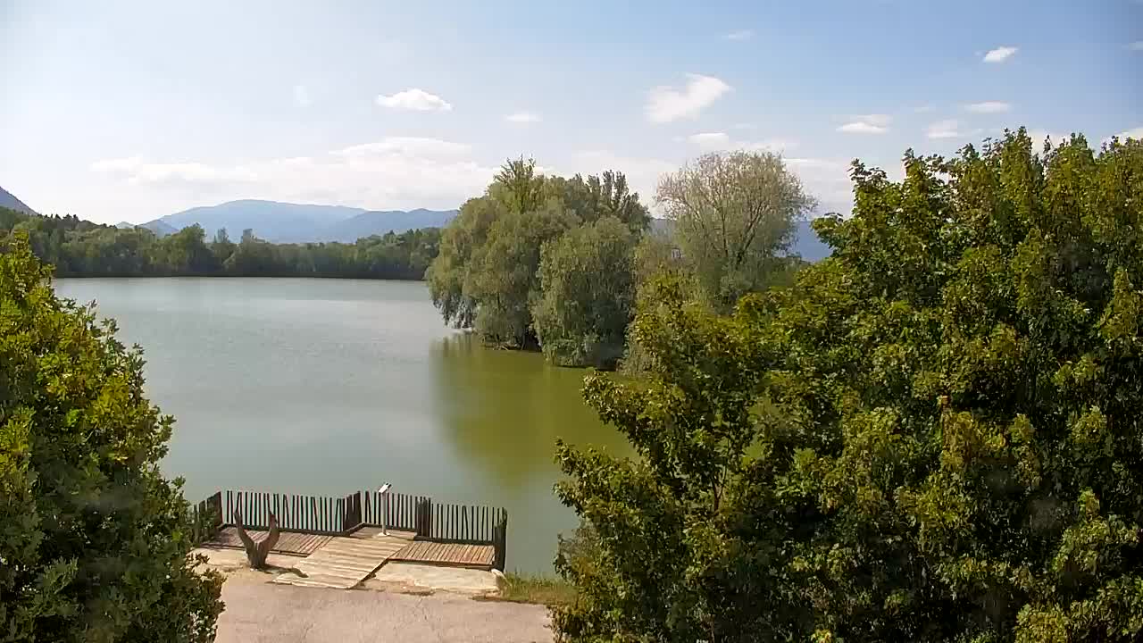 Webcam Ribnik Vrbje – Žalec