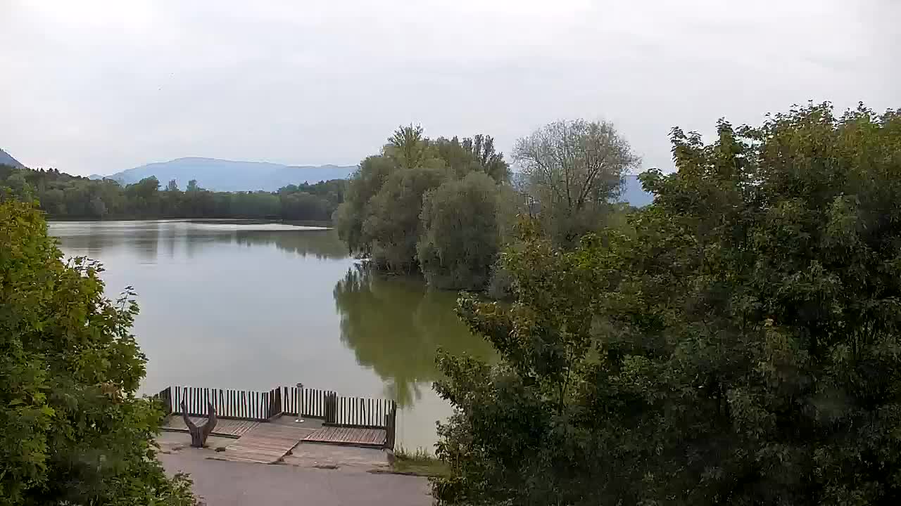 Webcam Ribnik Vrbje – Žalec