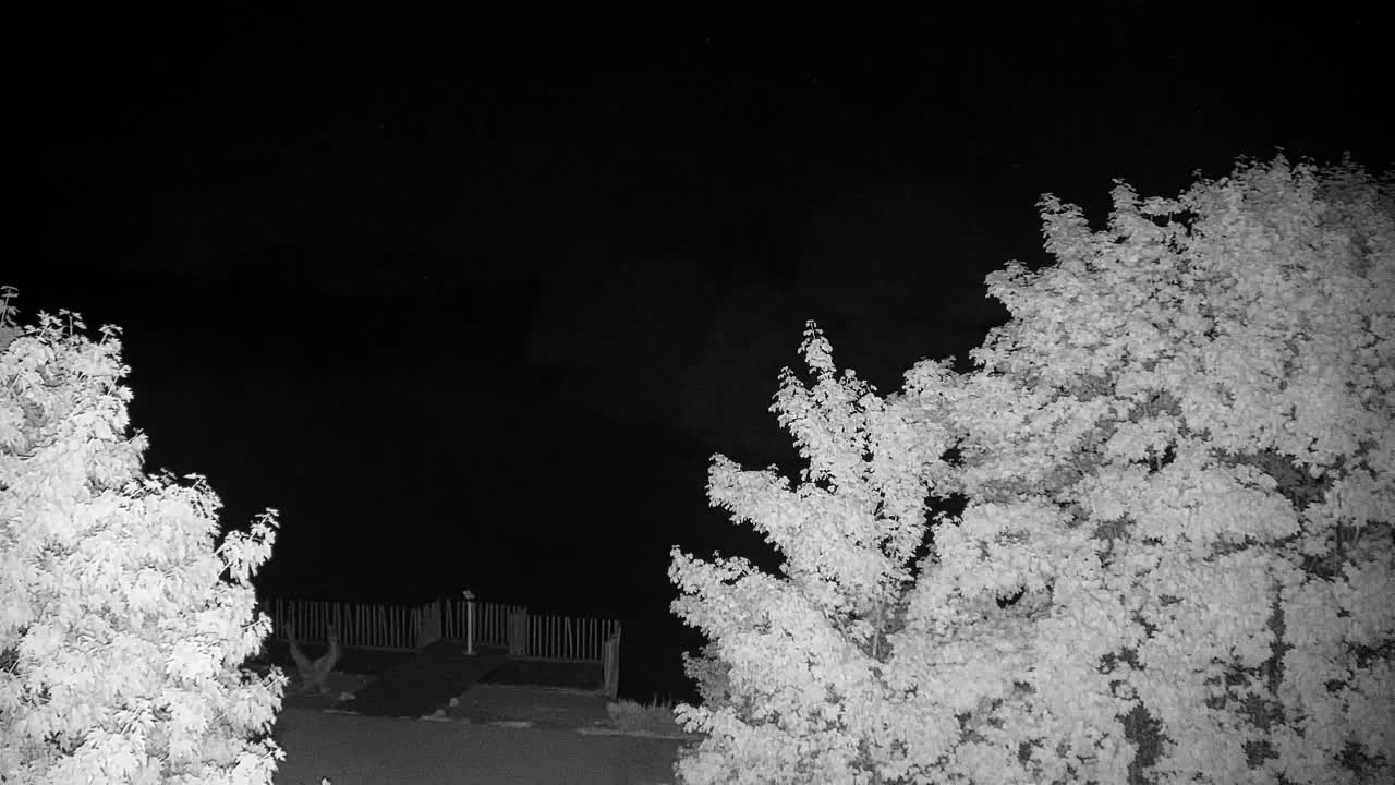 Webcam Ribnik Vrbje – Žalec
