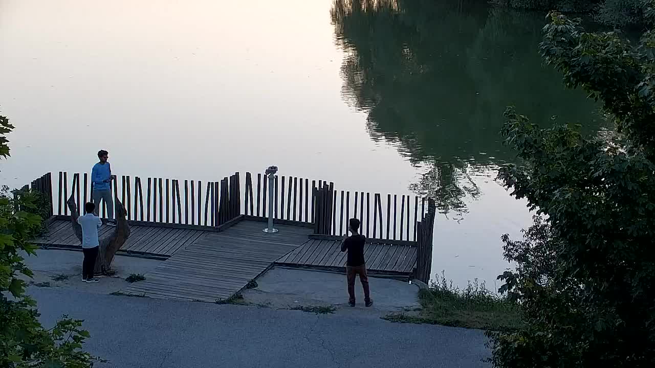 Spletna kamera Ribnik Vrbje – Žalec