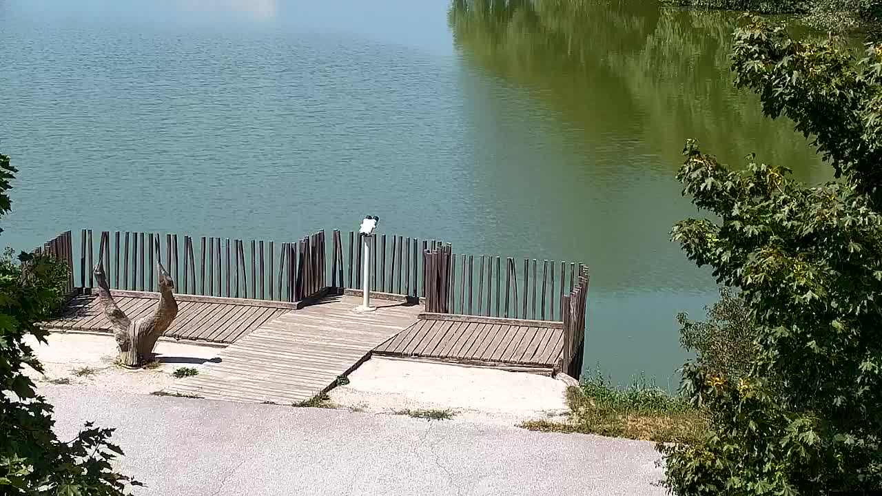 Webcam Ribnik Vrbje – Žalec