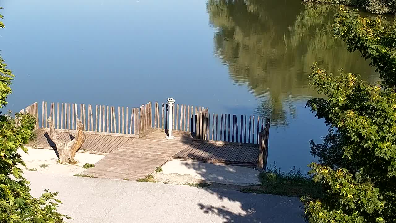 Webcam Ribnik Vrbje – Žalec