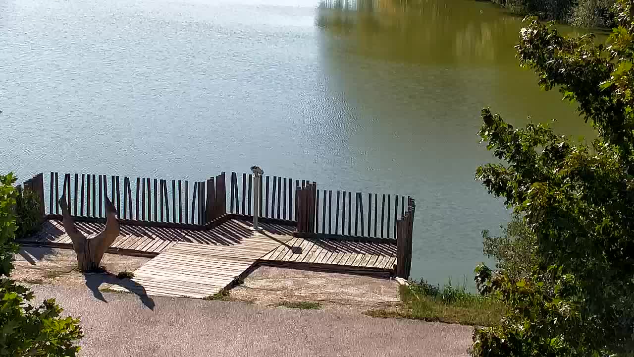 Webcam Ribnik Vrbje – Žalec