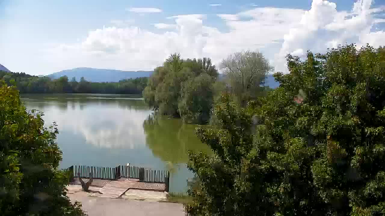 Webcam Ribnik Vrbje – Žalec