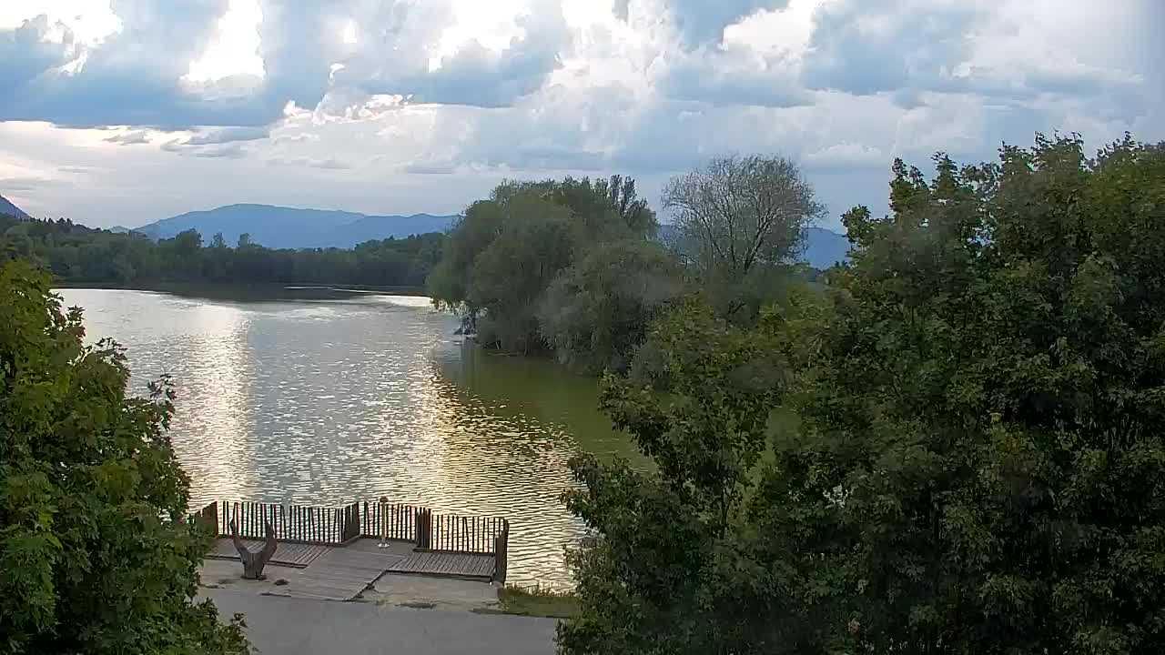 Webcam Ribnik Vrbje – Žalec