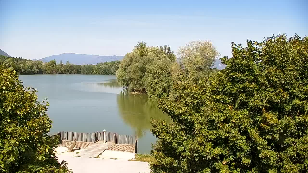 Webcam Ribnik Vrbje – Žalec