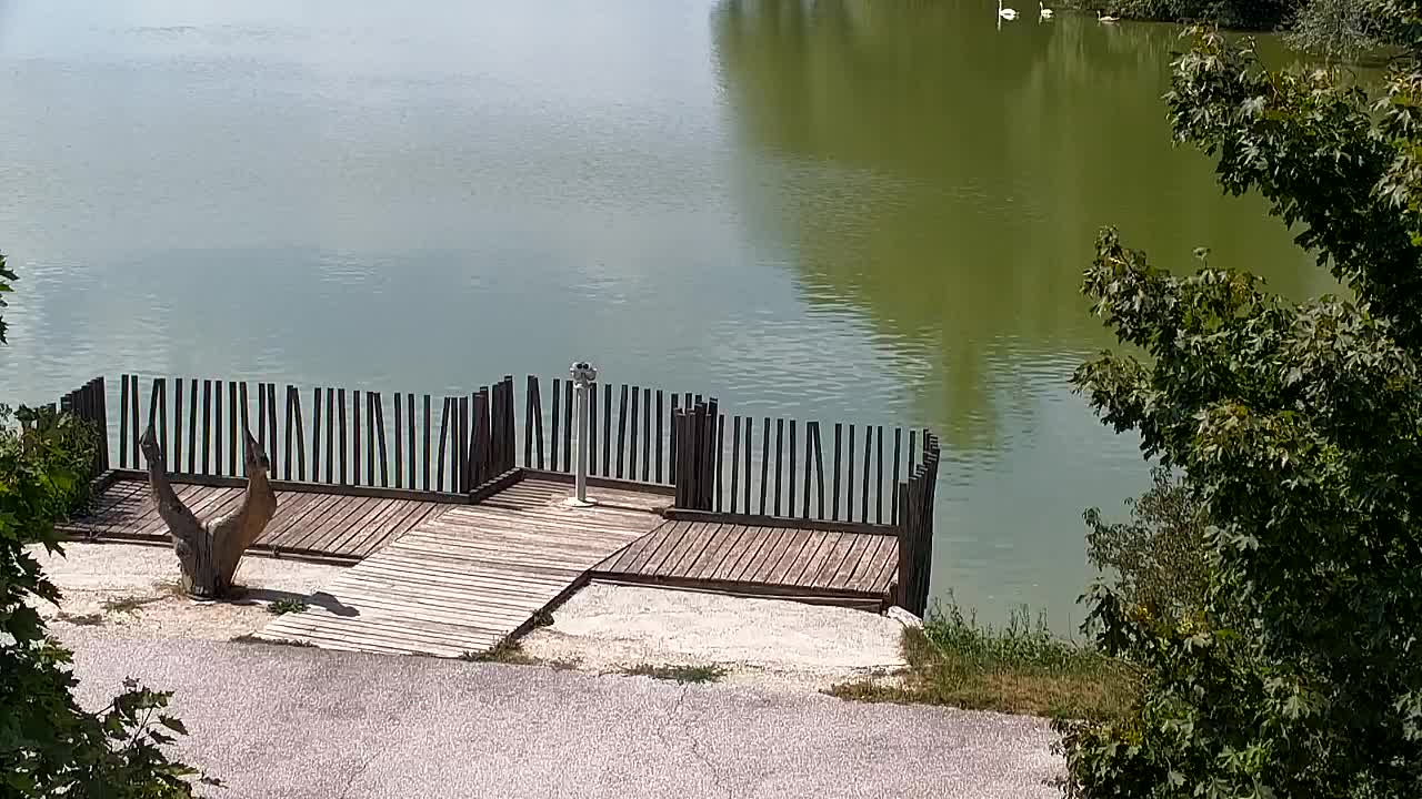 Webcam Ribnik Vrbje – Žalec