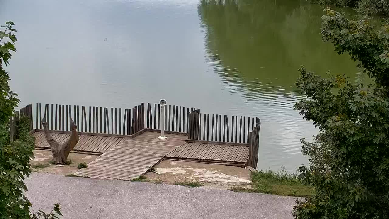 Webcam Ribnik Vrbje – Žalec