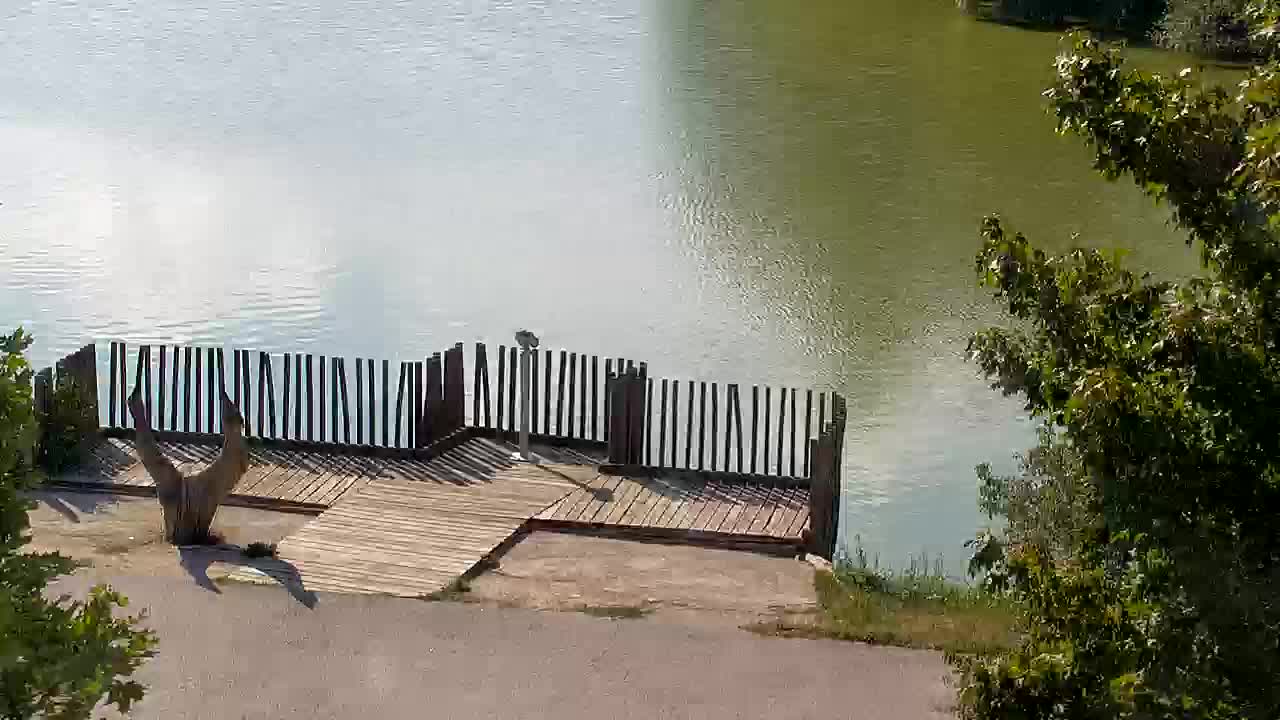 Webcam Ribnik Vrbje – Žalec