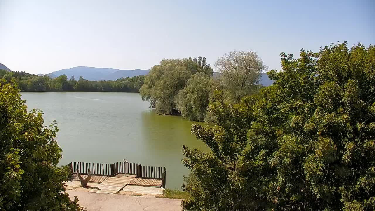 Webcam Ribnik Vrbje – Žalec