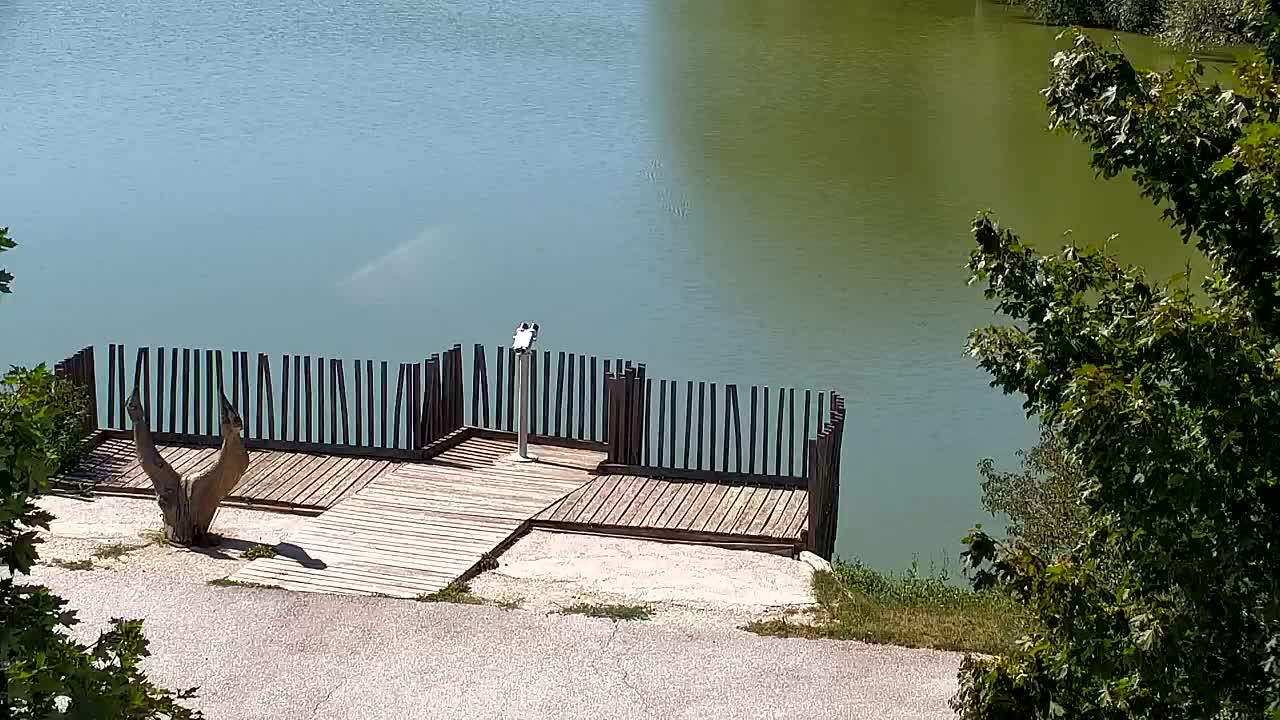 Webcam Ribnik Vrbje – Žalec