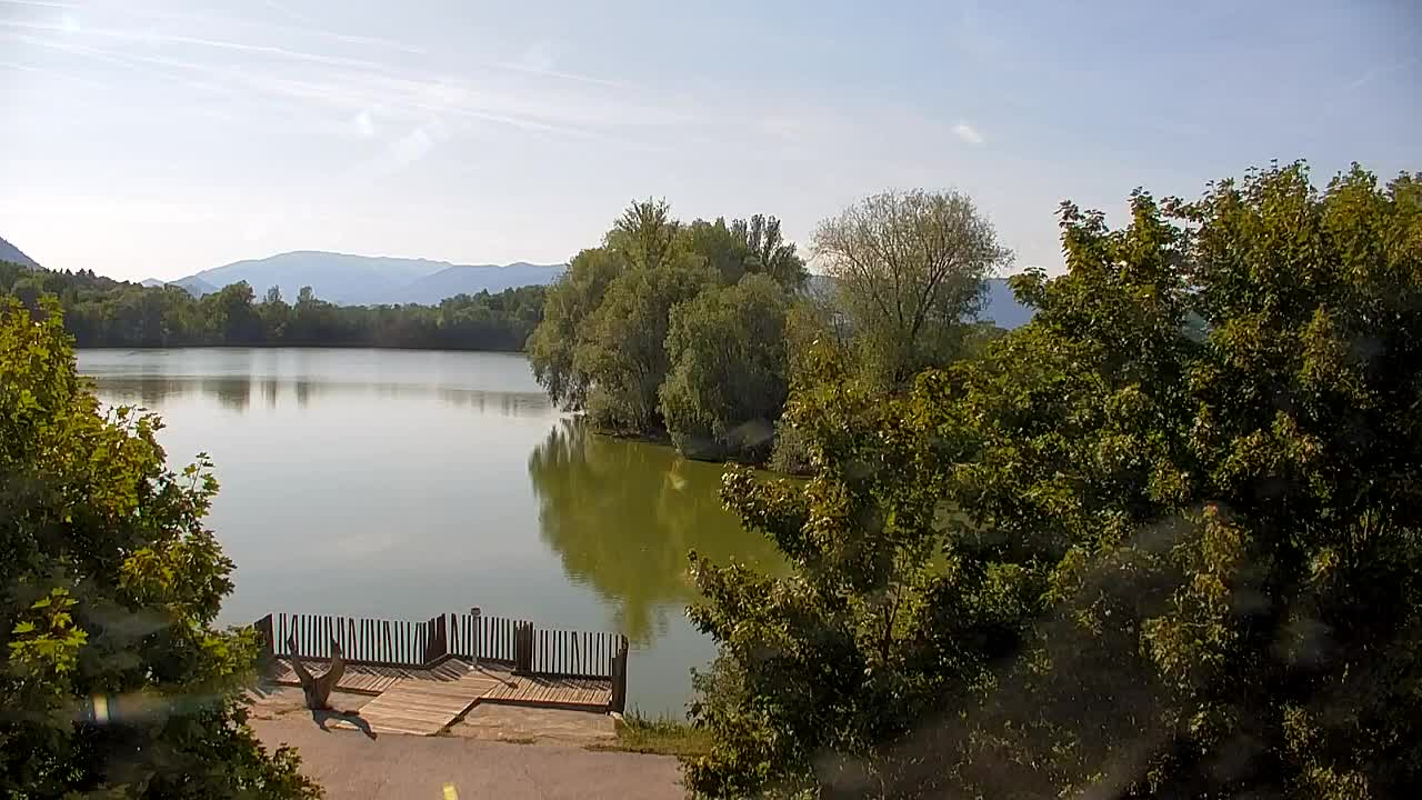 Webcam Ribnik Vrbje – Žalec