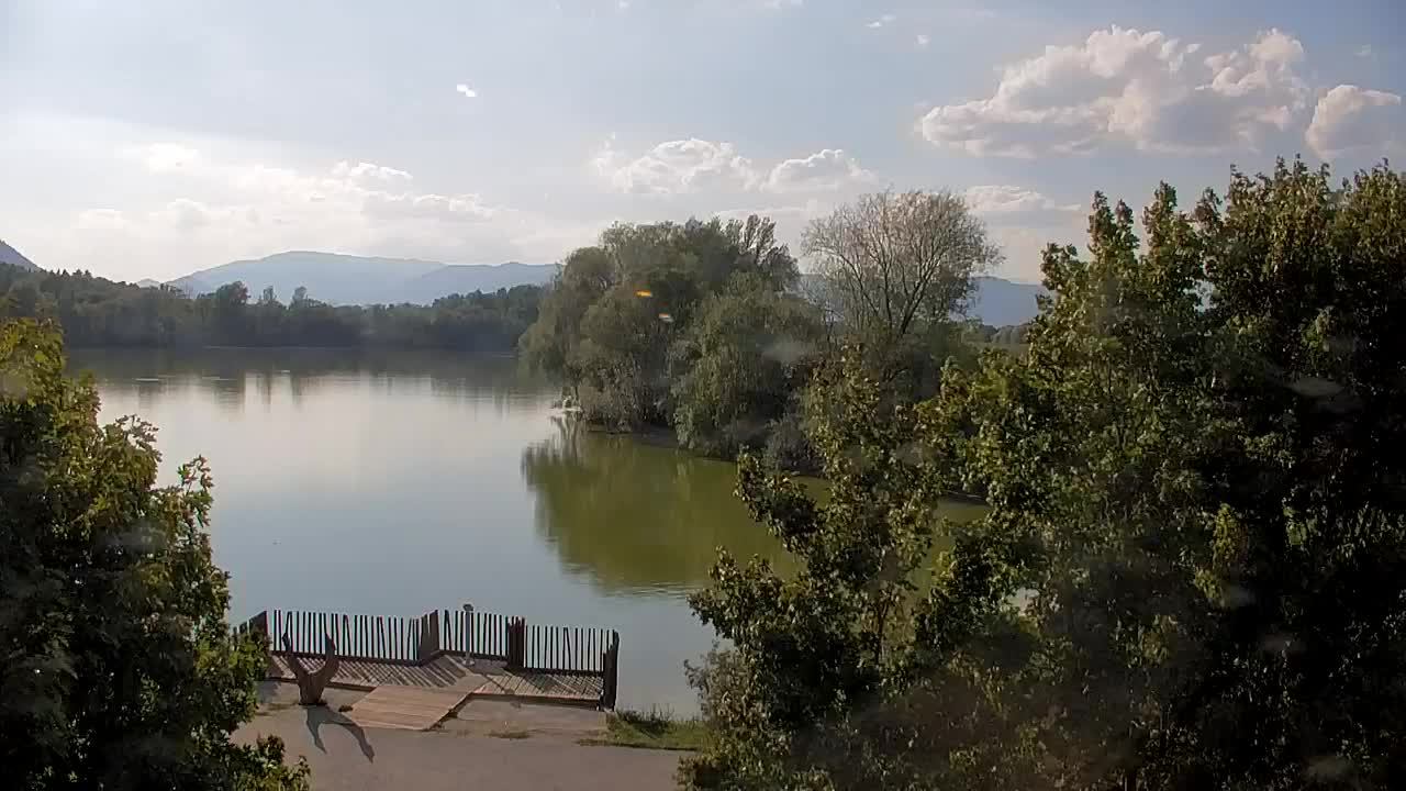 Web kamera Ribnik Vrbje – Žalec