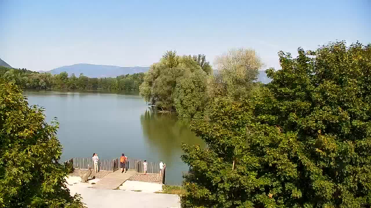 Webcam Ribnik Vrbje – Žalec
