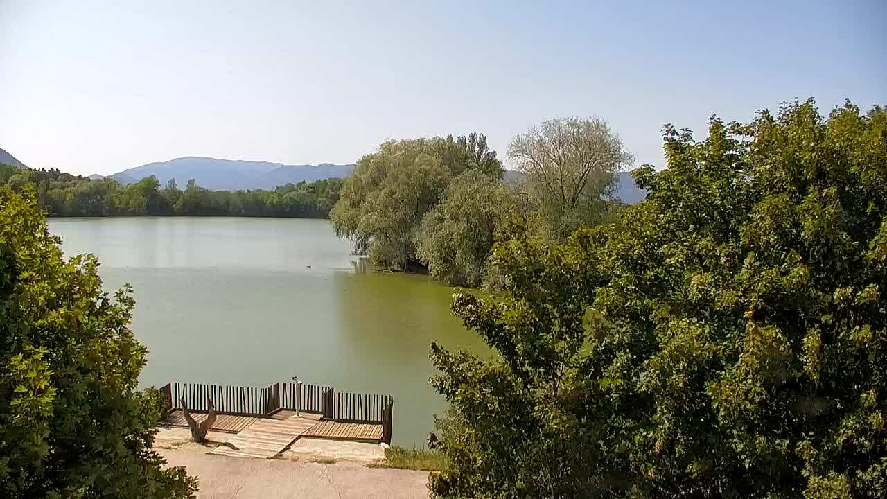 Webcam Ribnik Vrbje – Žalec
