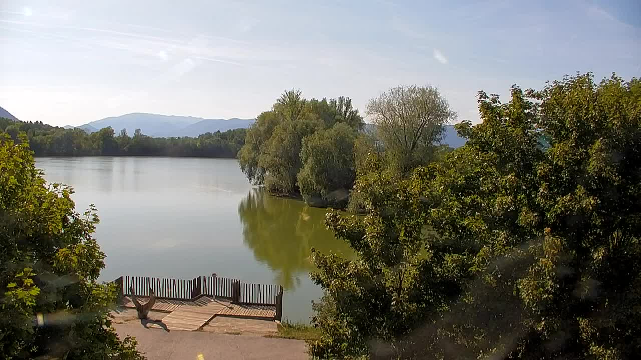 Webcam Ribnik Vrbje – Žalec
