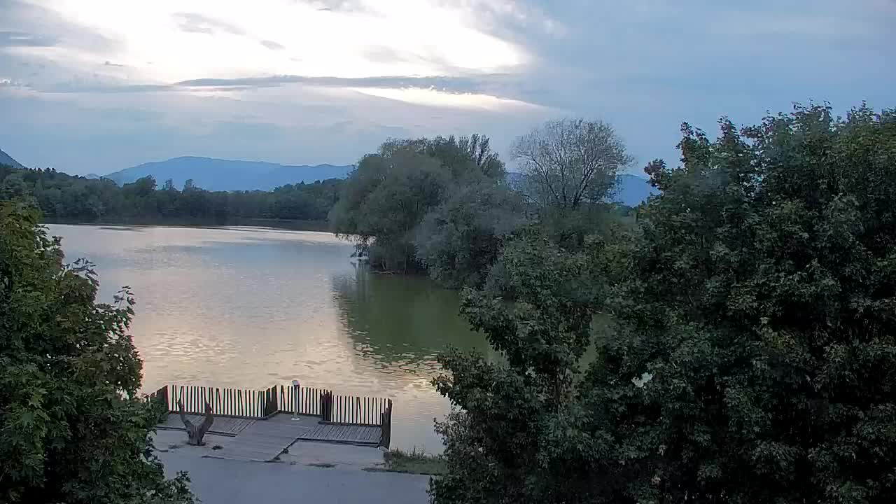 Webcam Ribnik Vrbje – Žalec