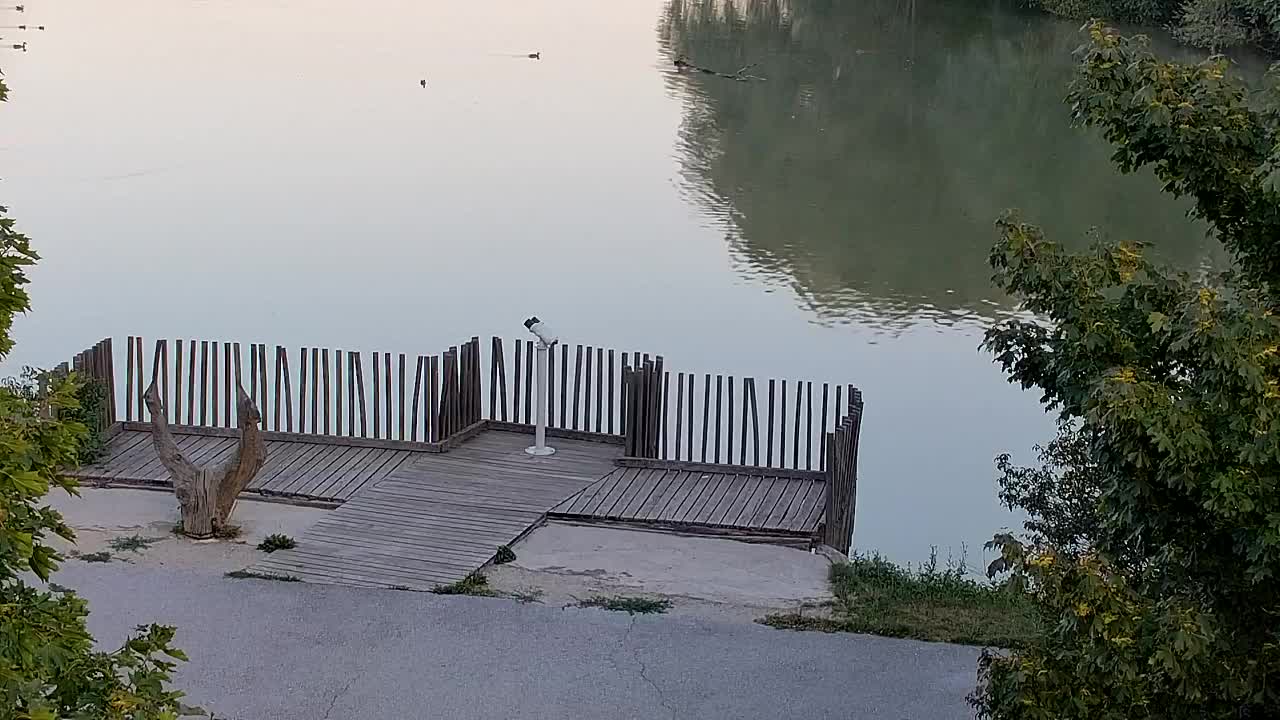 Webcam Ribnik Vrbje – Žalec