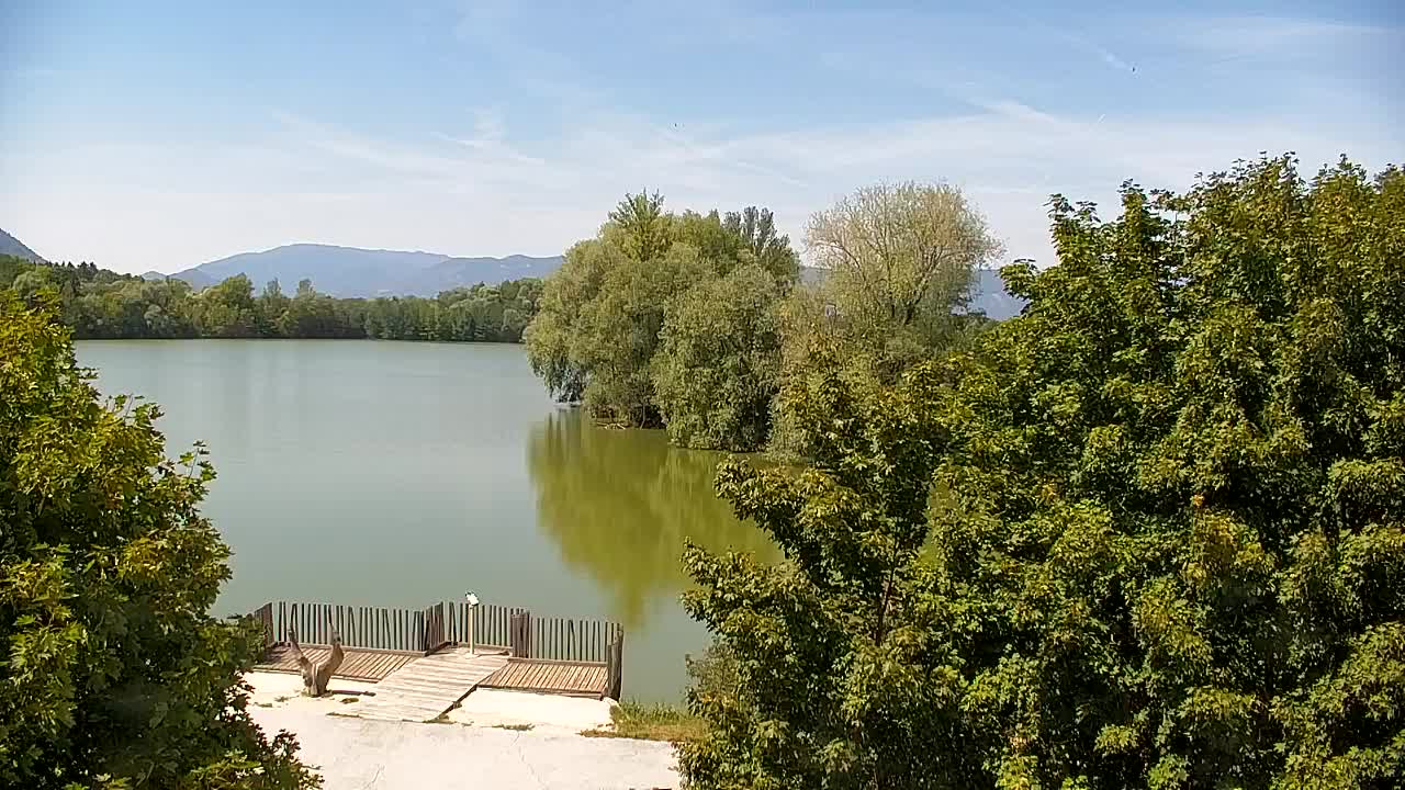 Web kamera Ribnik Vrbje – Žalec