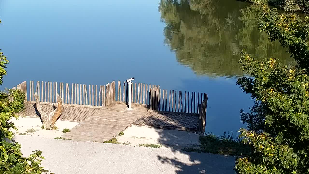 Spletna kamera Ribnik Vrbje – Žalec