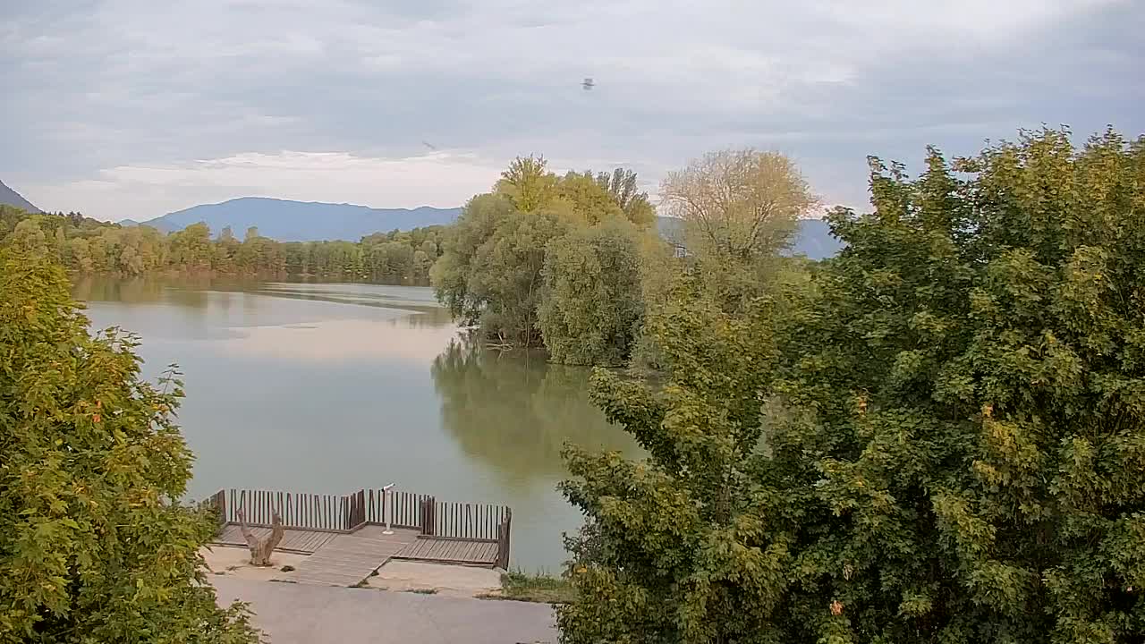 Web kamera Ribnik Vrbje – Žalec