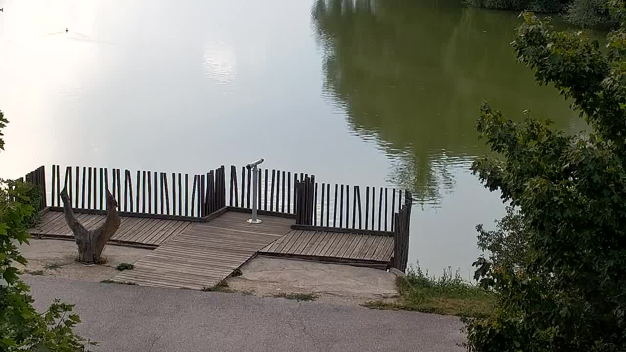 Spletna kamera Ribnik Vrbje – Žalec