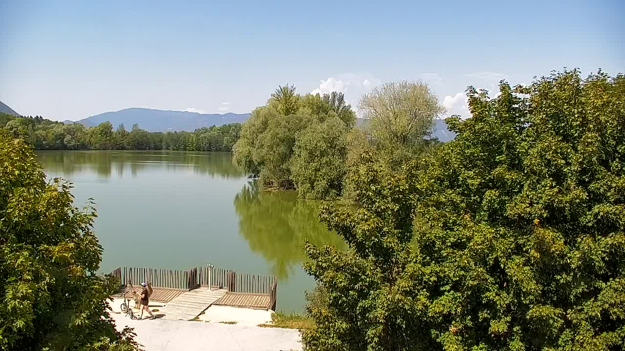 Spletna kamera Ribnik Vrbje – Žalec