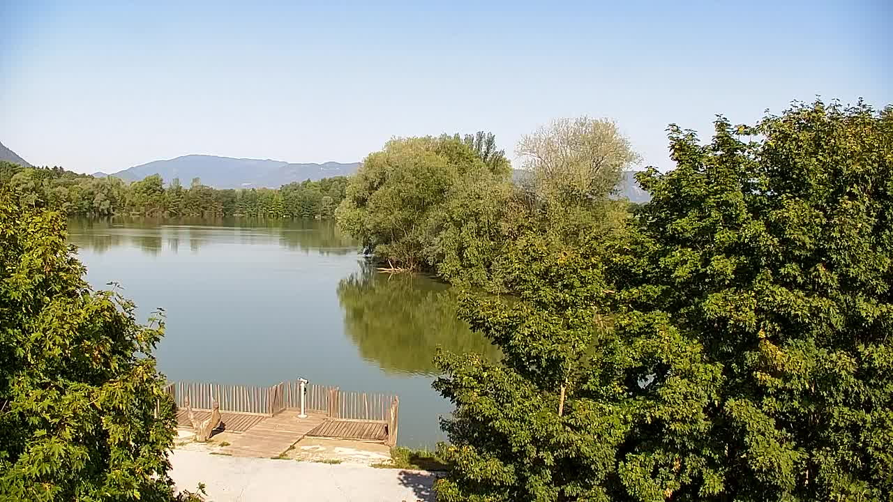 Spletna kamera Ribnik Vrbje – Žalec