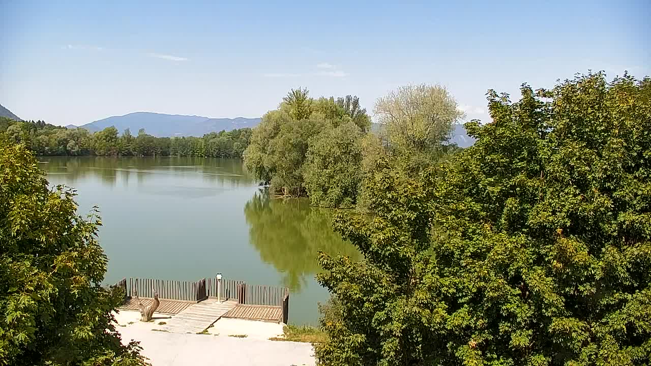 Webcam Ribnik Vrbje – Žalec