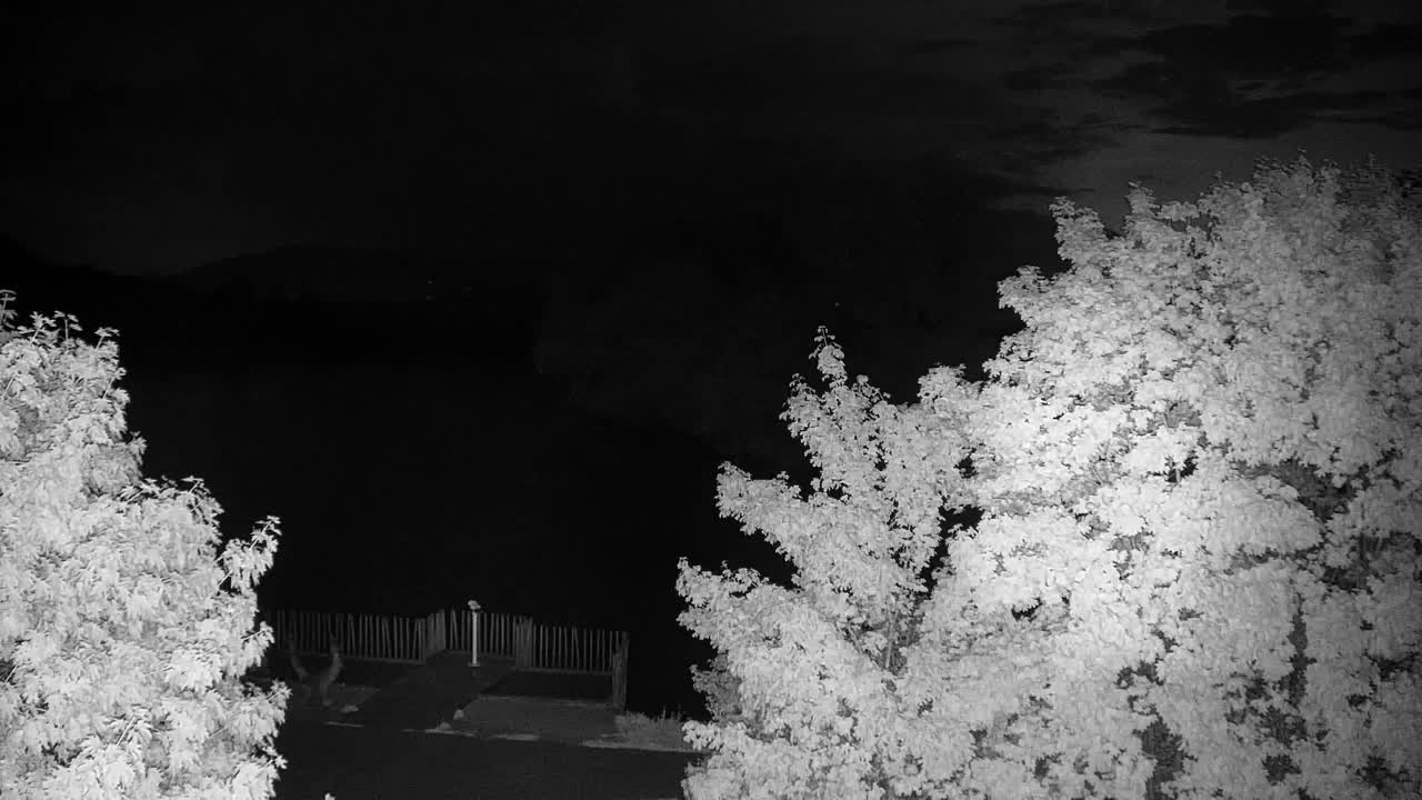 Webcam Ribnik Vrbje – Žalec