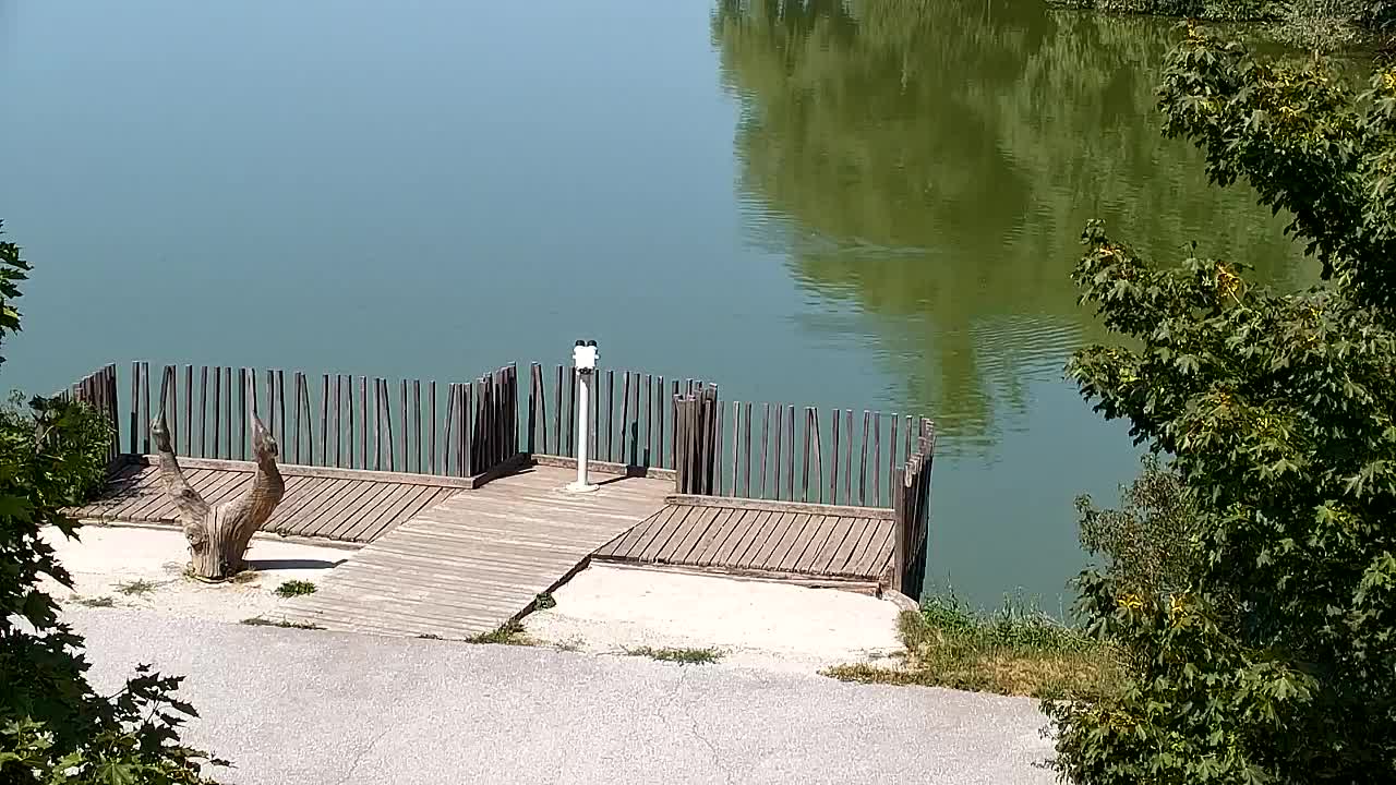 Webcam Ribnik Vrbje – Žalec