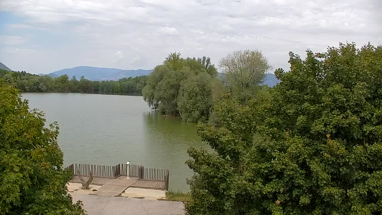 Webcam Ribnik Vrbje – Žalec