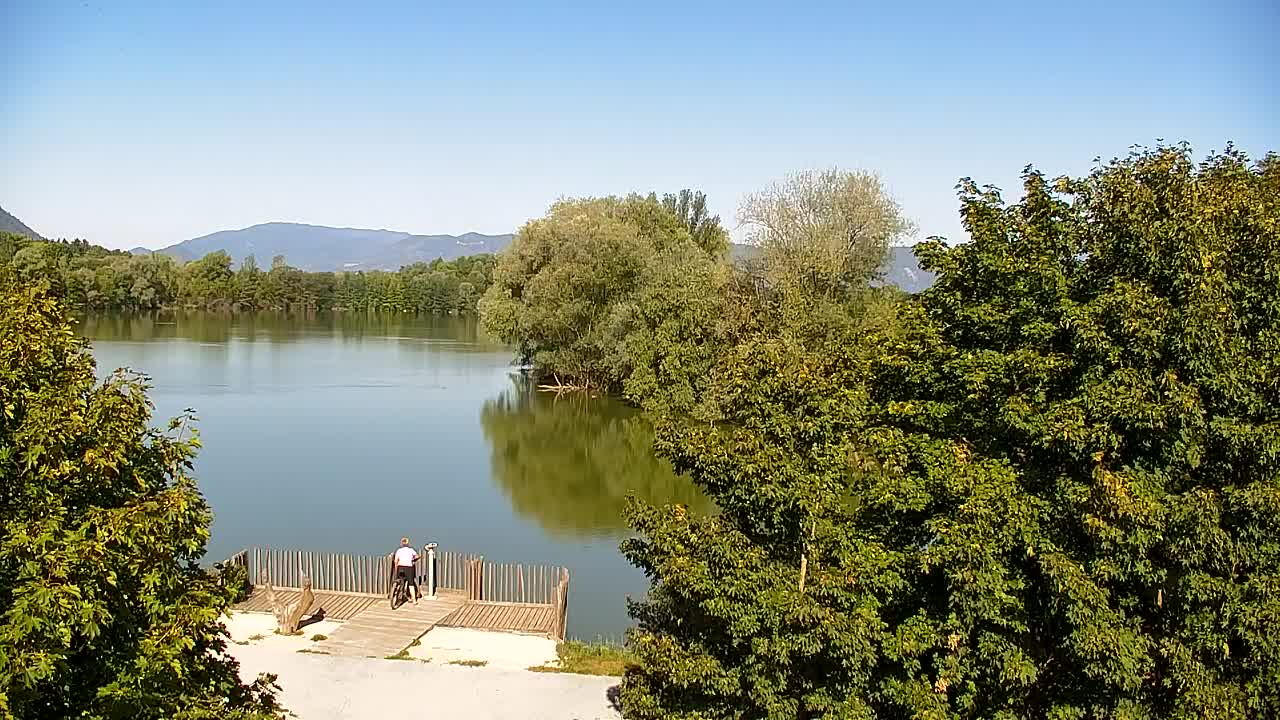 Webcam Ribnik Vrbje – Žalec