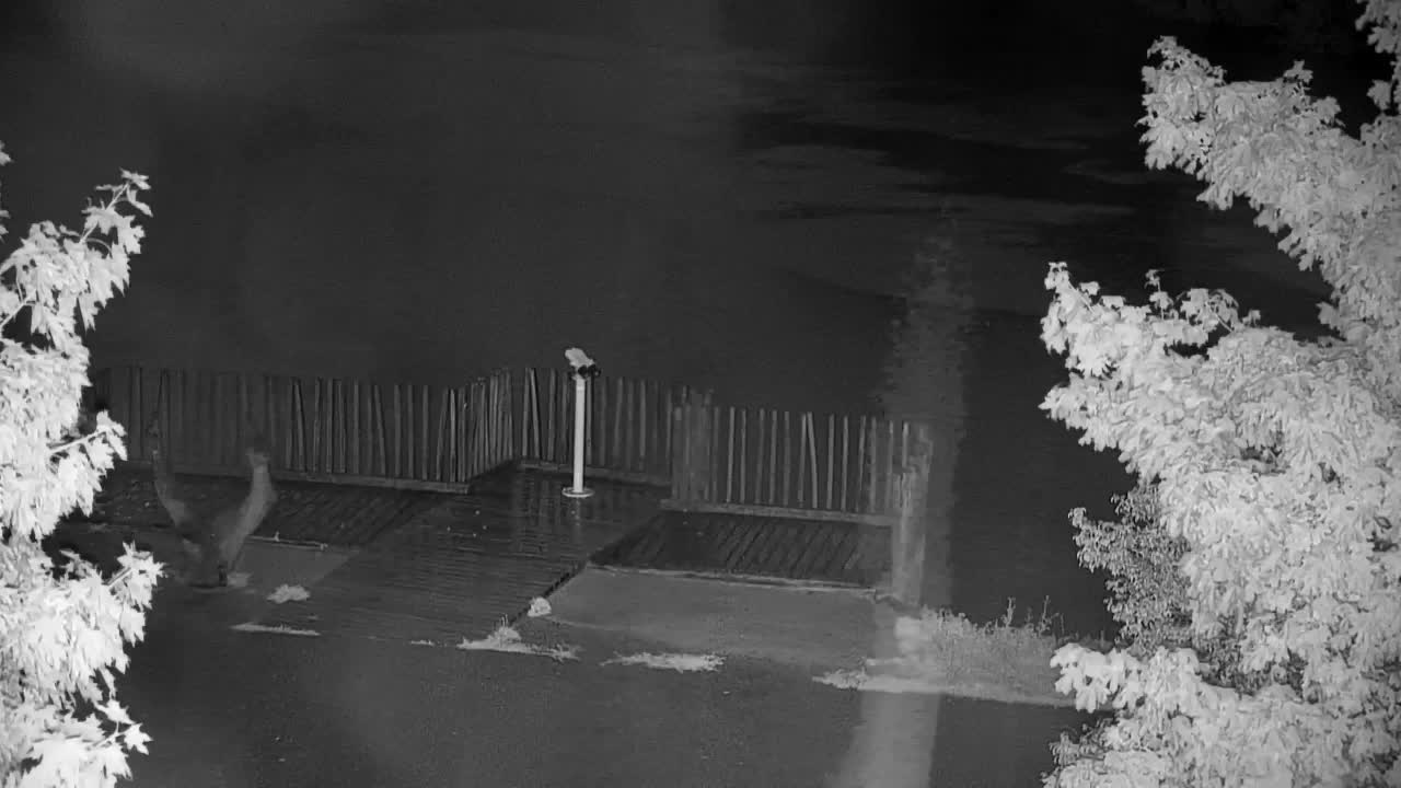 Webcam Ribnik Vrbje – Žalec