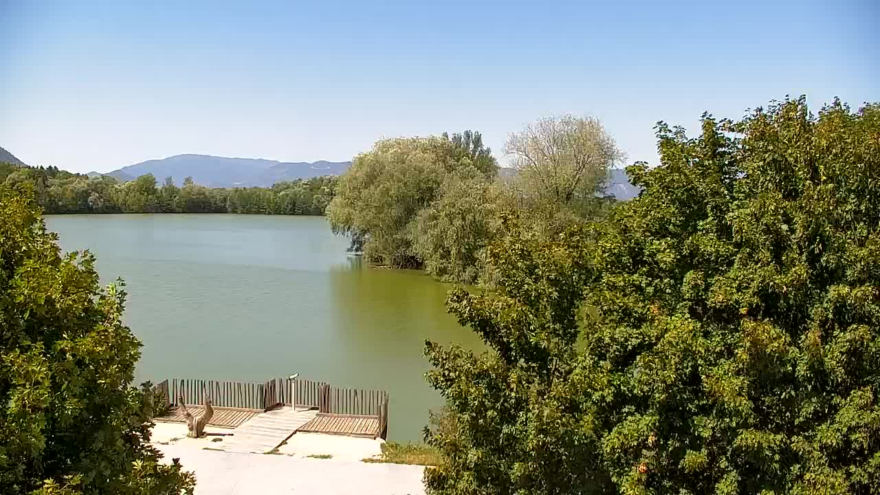 Webcam Ribnik Vrbje – Žalec