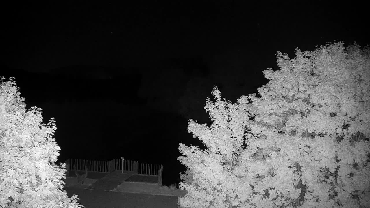Webcam Ribnik Vrbje – Žalec