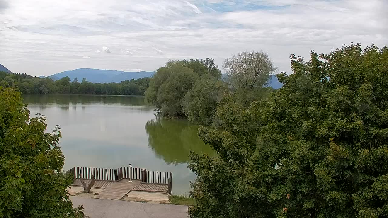 Webcam Ribnik Vrbje – Žalec
