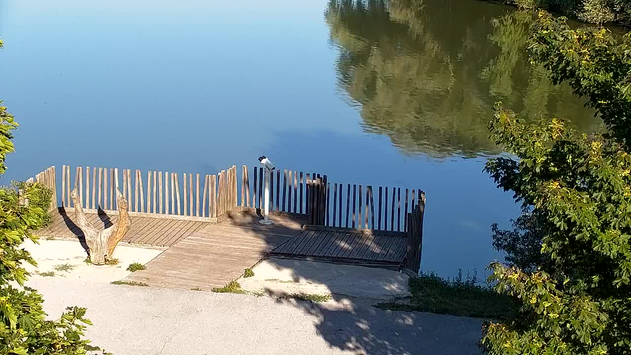 Webcam Ribnik Vrbje – Žalec
