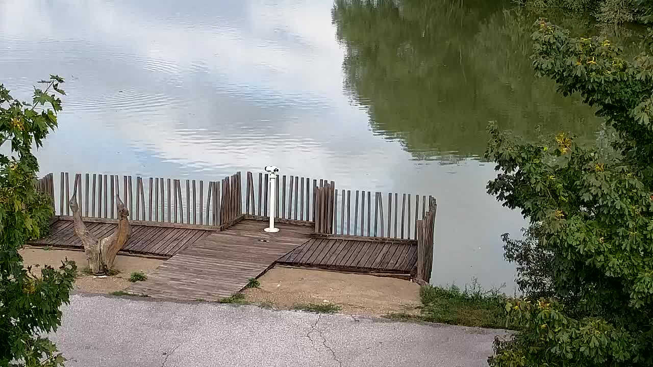 Spletna kamera Ribnik Vrbje – Žalec