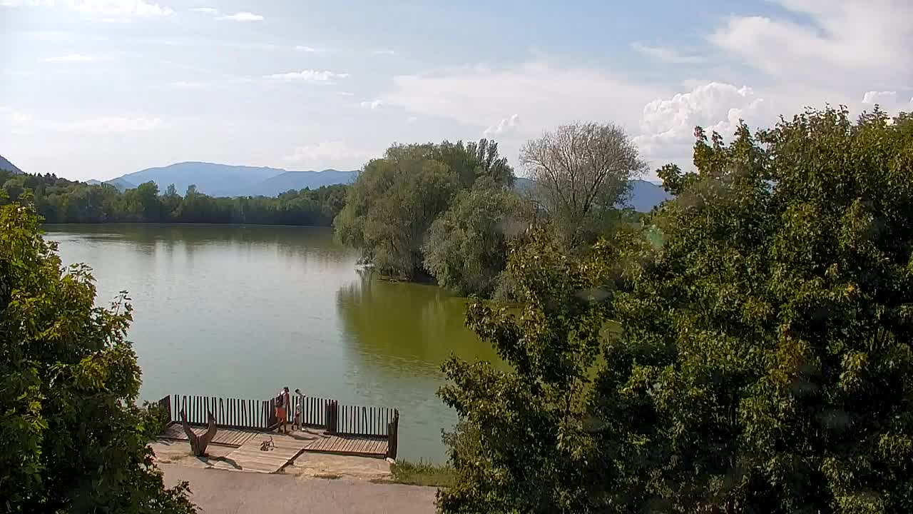 Webcam Ribnik Vrbje – Žalec