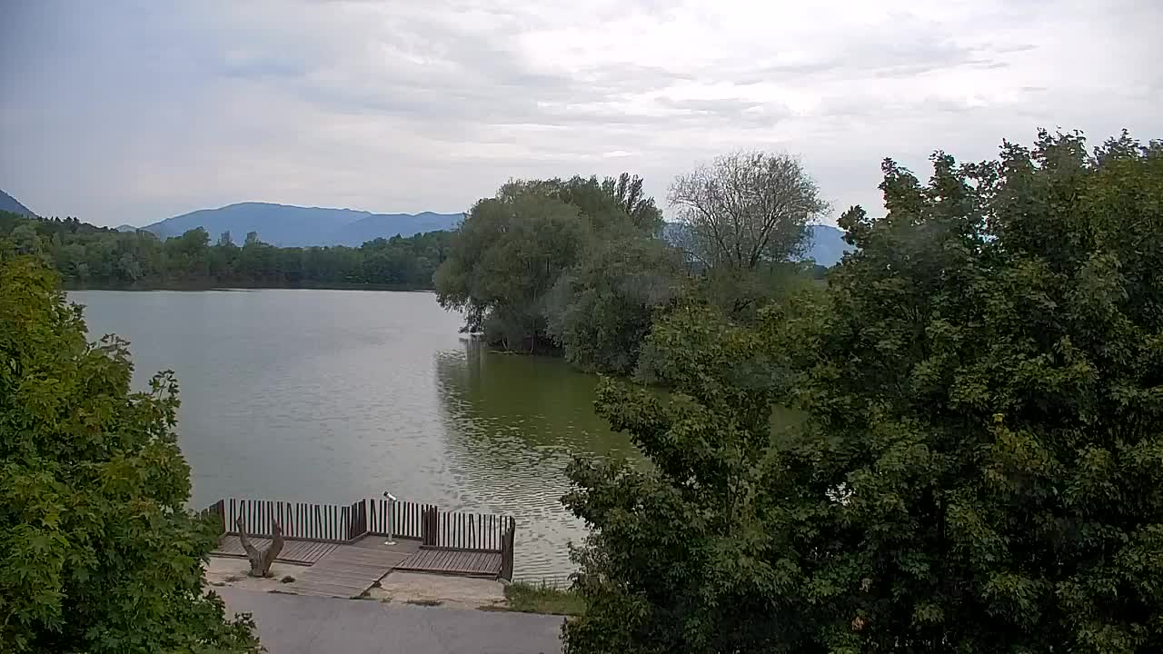Webcam Ribnik Vrbje – Žalec