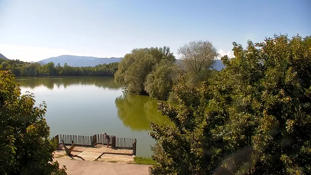 Webcam Ribnik Vrbje – Žalec