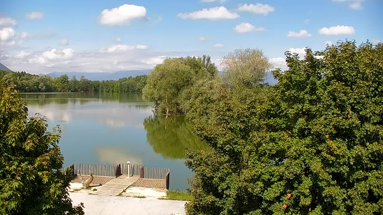 Spletna kamera Ribnik Vrbje – Žalec