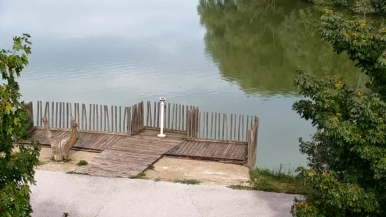 Webcam Ribnik Vrbje – Žalec