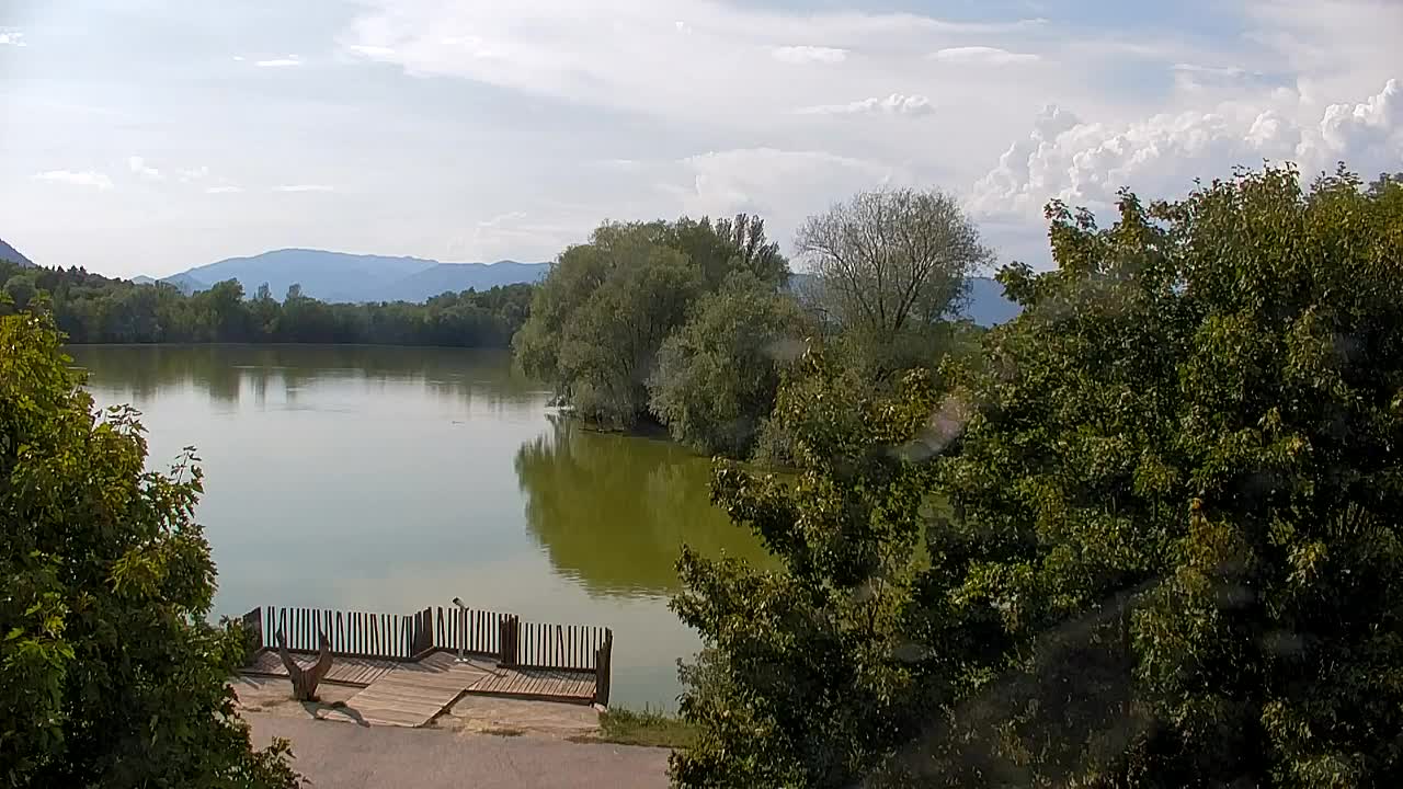 Webcam Ribnik Vrbje – Žalec