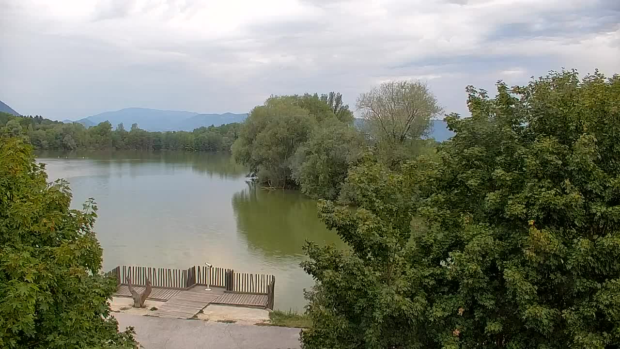 Webcam Ribnik Vrbje – Žalec