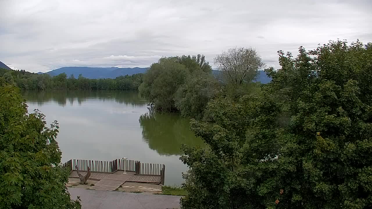 Webcam Ribnik Vrbje – Žalec