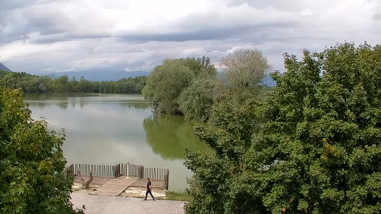 Webcam Ribnik Vrbje – Žalec