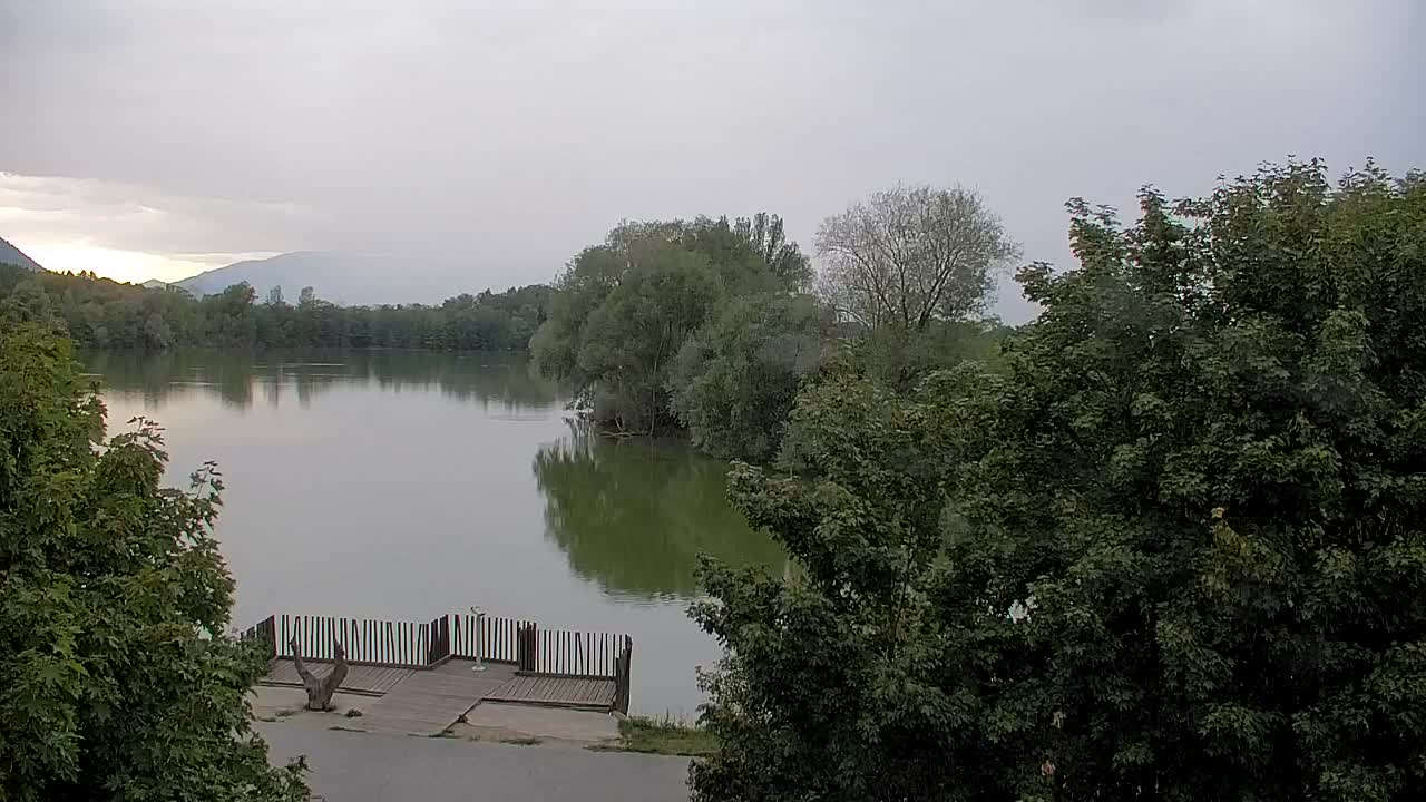 Webcam Ribnik Vrbje – Žalec