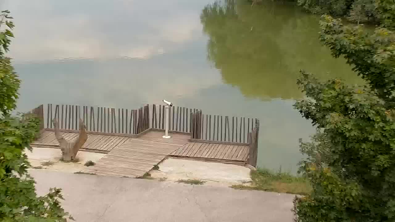 Webcam Ribnik Vrbje – Žalec